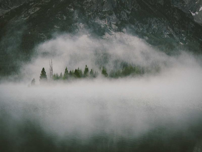 community screenshot 3