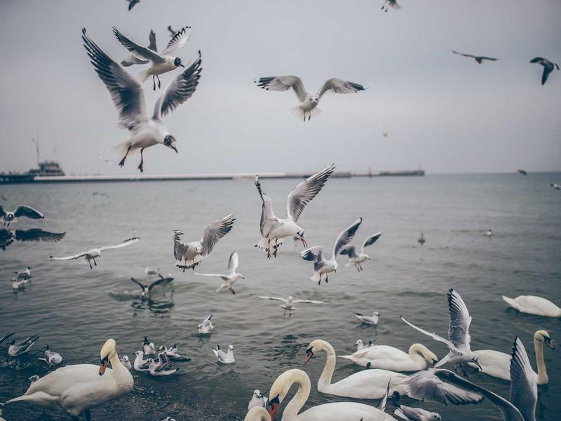 sudoku pattern recognition screenshot 2